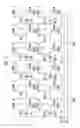 Fig. 13 - Display device for performing internal compensation of a pixel