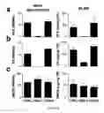 Fig. 11 - COMPOSITIONS AND METHODS RELATED TO OBSTRUCTIVE SLEEP APNEA