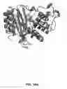 Fig. 21 - Methods of protein docking and rational drug design