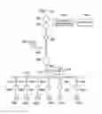 Fig. 22 - Communication loop and record loop system for parallel/serial dual microfluidic chip