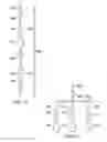Fig. 24 - Communication loop and record loop system for parallel/serial dual microfluidic chip