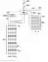 Fig. 32 - Communication loop and record loop system for parallel/serial dual microfluidic chip