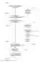 Fig. 01 - Method and system of teeth alignment based on simulating of crown and root movement