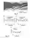 Fig. 07 - SYSTEM FOR PREDICTING EFFICACY OF A TARGET-DIRECTED DRUG TO TREAT A DISEASE