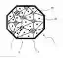 Fig. 01 - Soft magnetic metal powder, method for producing the same, and soft magnetic metal dust core