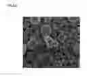 Fig. 10 - Soft magnetic metal powder, method for producing the same, and soft magnetic metal dust core
