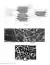 Fig. 26 - Integration and bonding of micro-devices into system substrate