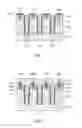 Fig. 06 - Semiconductor device