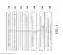 Fig. 02 - Semiconductor device and method of manufacturing the same