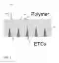 Fig. 02 - Superstrates Incorporating Effectively Transparent Contacts and Related Methods of Manufacturing