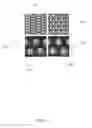 Fig. 09 - Core-shell InGaN/AlGaN quantum nanowire photonic structures