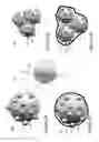 Fig. 08 - Methods of preparing anodes using tin as active material