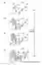 Fig. 04 - Methods for preparing anodes from anode active material particles with lithium borates and phosphates coatings