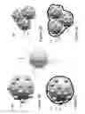 Fig. 08 - Methods for preparing anodes from anode active material particles with lithium borates and phosphates coatings