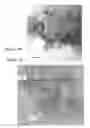 Fig. 30 - Methods for preparing anodes from anode active material particles with lithium borates and phosphates coatings