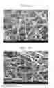 Fig. 04 - Composite electrolyte for lithium metal battery, preparing method thereof, and lithium metal battery comprising the same