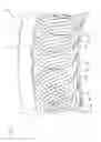 Fig. 03 - Stator of rotating electric machine