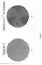 Fig. 06 - Linear hall effect sensors for multi-phase permanent magnet motors with PWM drive