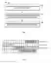 Fig. 02 - Methods and apparatuses for numerology multiplexing