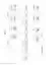 Fig. 08 - Beamformed transmission in high efficiency wireless LAN