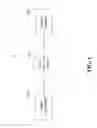 Fig. 02 - Nonlinearity pre-compensation of high order modulation transmissions