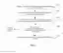 Fig. 08 - Face verification method and device