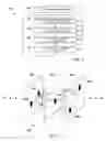 Fig. 05 - Systems and Methods for Dynamic Authentication and Communication Protection Using an Ephemeral Shared Data Set