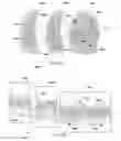 Fig. 06 - Systems and Methods for Dynamic Authentication and Communication Protection Using an Ephemeral Shared Data Set