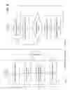 Fig. 09 - Tracking usage of corporate credentials