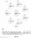 Fig. 05 - Pre-high-efficiency (HE)-short training field preamble transmission for the HE-trigger based physical layer convergence protocol (PLCP) protocol data unit (PPDU)