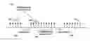 Fig. 01 - Random access with preamble transmission