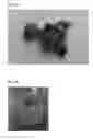 Fig. 02 - METHOD OF USING MELANIN TO FERTILIZE SOIL