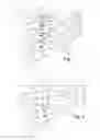 Fig. 02 - Plant support