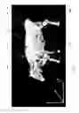 Fig. 06 - Health condition estimation device