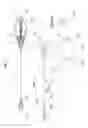 Fig. 02 - Rig unit for a fishing line
