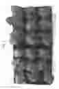 Fig. 03 - Agent for improving plant growth and method for producing plant using same