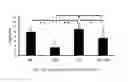 Fig. 01 - COMPOSITION FOR CONTROLLING ACQUIRED IMMUNE FUNCTION SUPPRESSION DUE TO ANTI-INFLUENZA DRUG, AND PRODUCTION METHOD FOR SAME