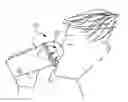 Fig. 01 - Aroma enhancing beverage containers and lids