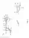 Fig. 07 - Valance system for window coverings