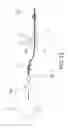 Fig. 13 - Rotational extender and/or repeater for rotating fiber based optical imaging systems, and methods and storage mediums for use therewith