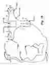 Fig. 13 - Medical device position location systems, devices and methods