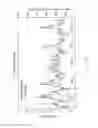 Fig. 49 - Glucose sensor apparatus addressing interference of ascorbic acid and acetaminophen