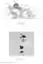 Fig. 06 - Non-enzymatic glucose-sensing device with nanoporous structure and conditioning of the nanoporous structure