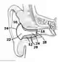 Fig. 01 - Sound attenuation earplug system and method of manufacture