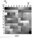 Fig. 07 - Instant ticket redundancy via multi-chromatic indicia