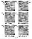 Fig. 08 - Instant ticket redundancy via multi-chromatic indicia