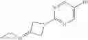 Fig. 324 - Substituted guanidine derivatives