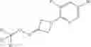 Fig. 645 - Substituted guanidine derivatives
