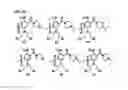 Fig. 03 - Novel Prodrugs And Methods Of Use Thereof