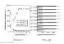 Fig. 03 - Mitochondria-targeting fluorescent potassium+ sensor and method of making the same